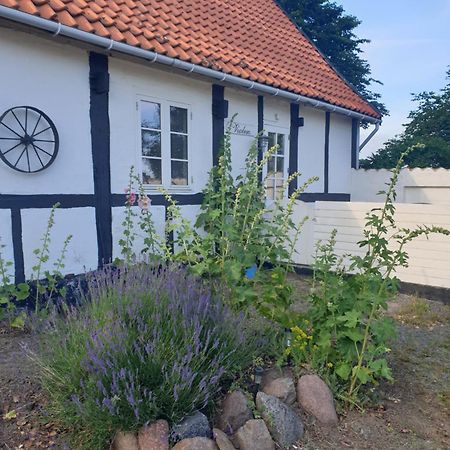 Violen Διαμέρισμα Åkirkeby Εξωτερικό φωτογραφία